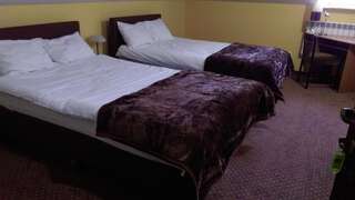Отель Pod Lwami Блоне Двухместный номер с 2 двуспальными кроватями-2