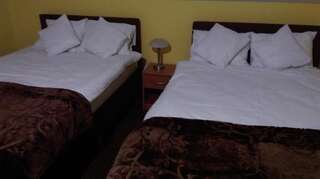 Отель Pod Lwami Блоне Двухместный номер с 2 двуспальными кроватями-3